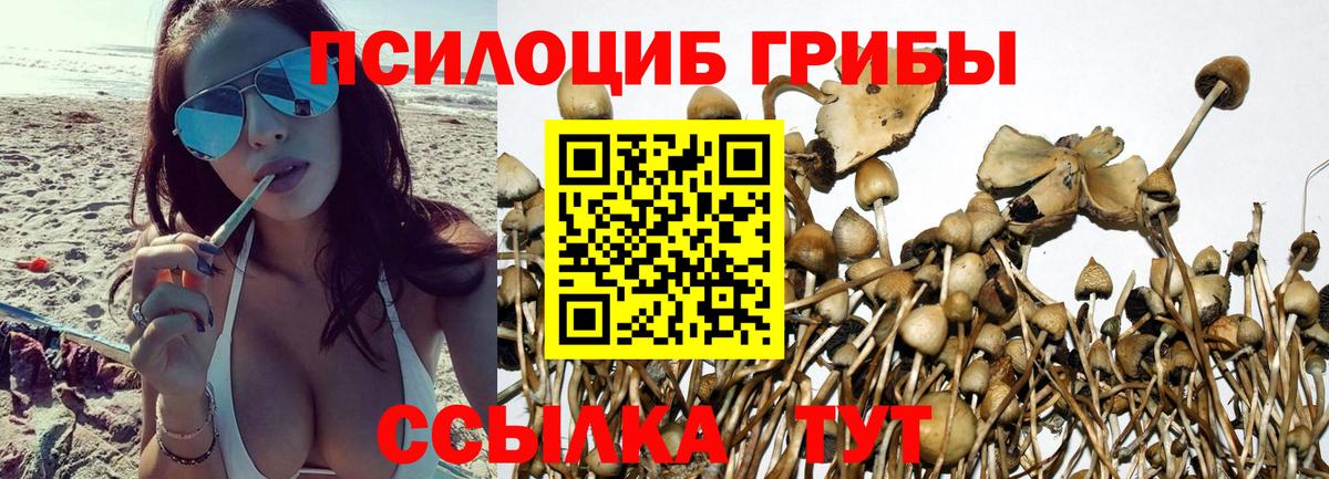 Новошахтинск  Галлюциногенные грибы Psilocybe  купить наркотики сайты  Вход с VPN 
