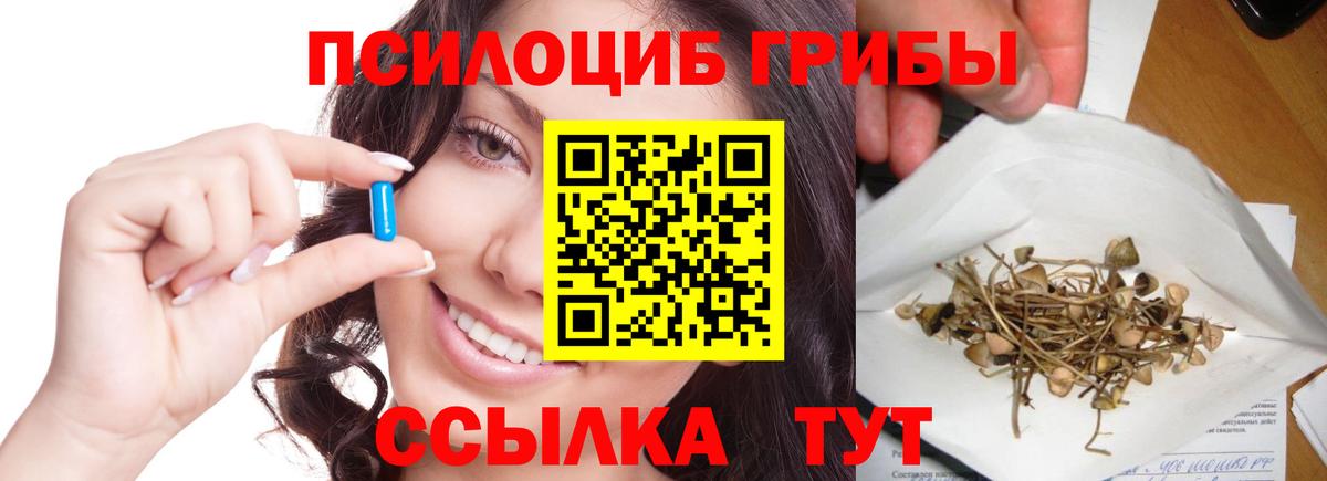 Галлюциногенные грибы MAGIC MUSHROOMS Новошахтинск